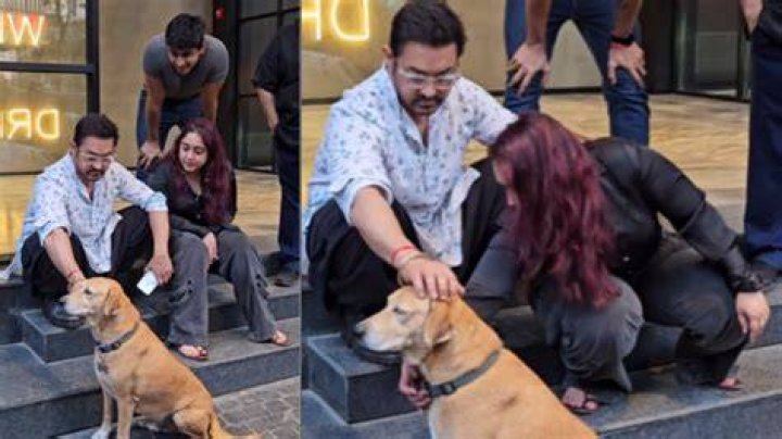 Aamir Khan Pets