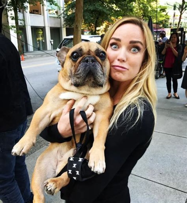Caity Lotz Pets