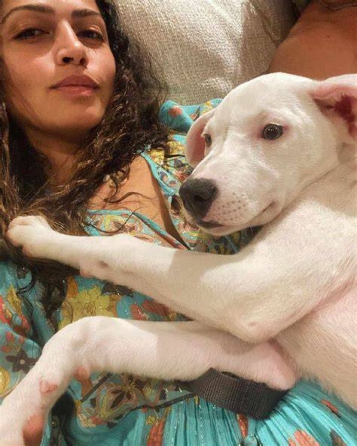 Camila Alves Pets