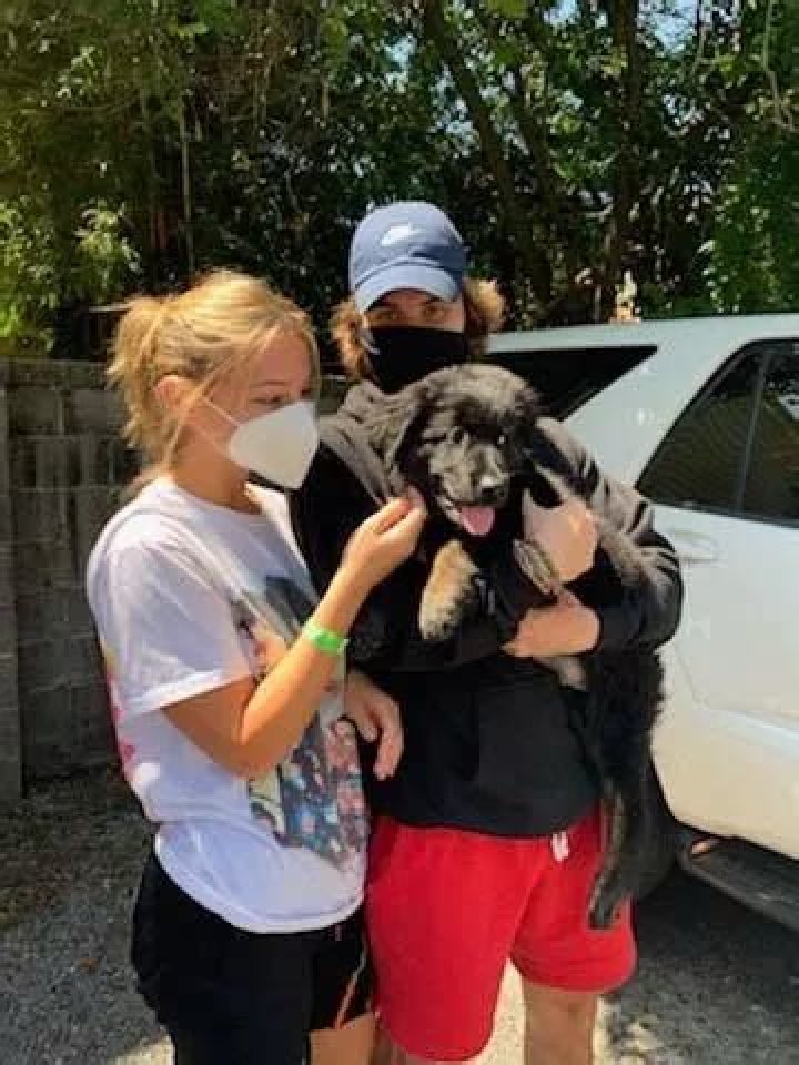 Chase Stokes Pets