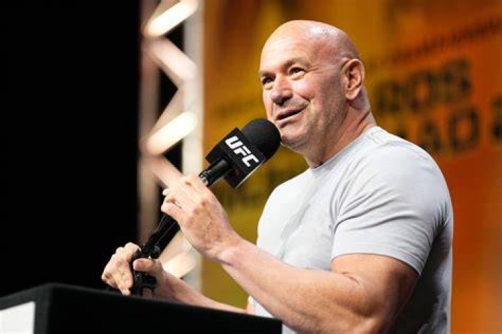 Dana White's pet English Mastiff