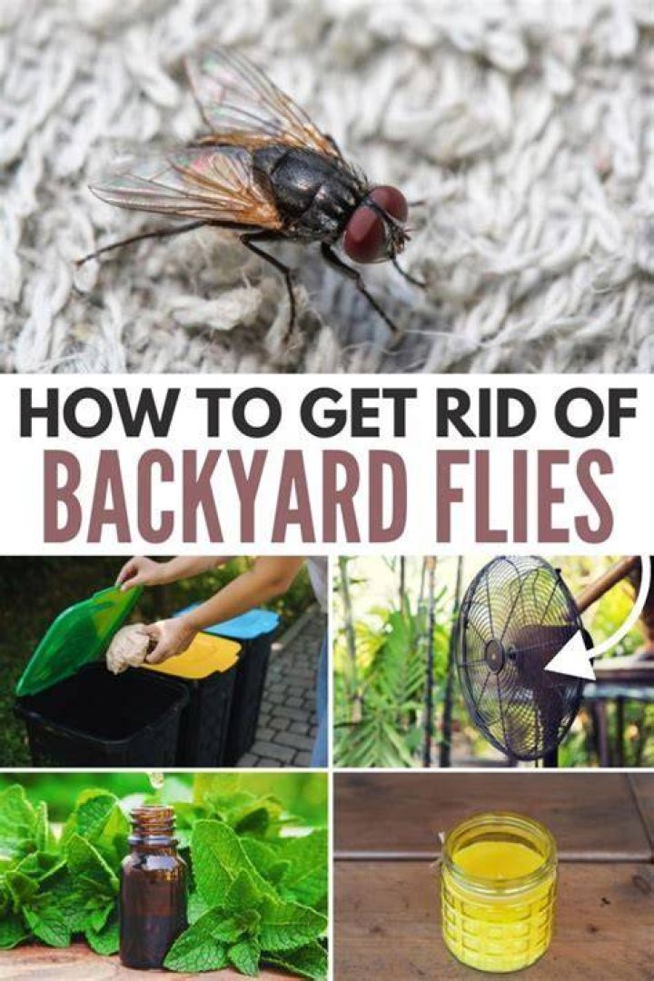 Does bleach keep flies away?