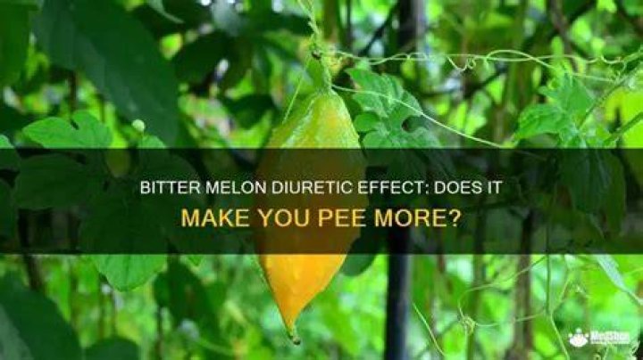 Does eating melon make you pee?