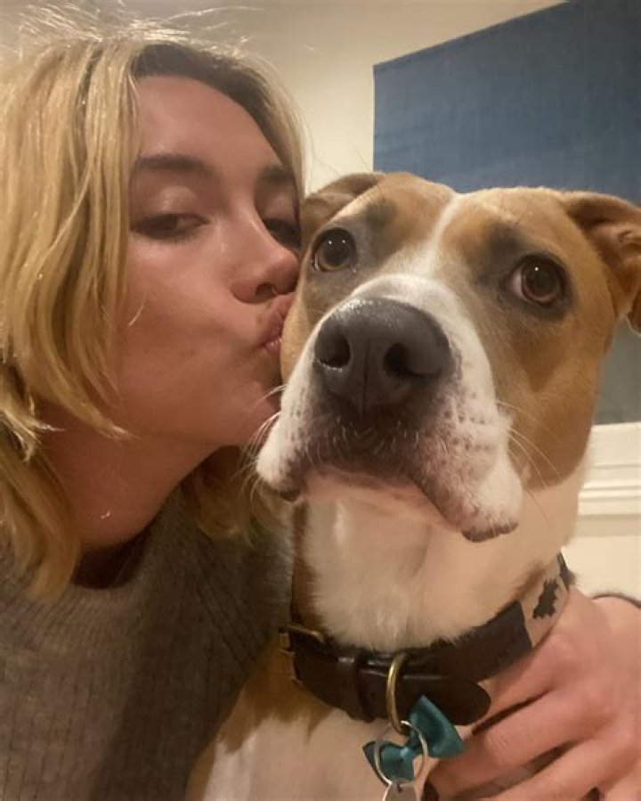 Florence Pugh Pets