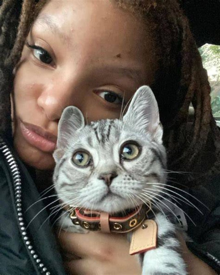 Halle Bailey Pets