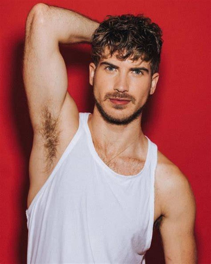 Joey Graceffa's pet Wolf