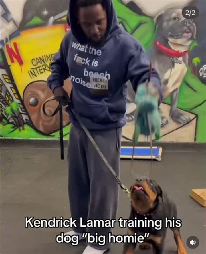 kendrick lamar dog