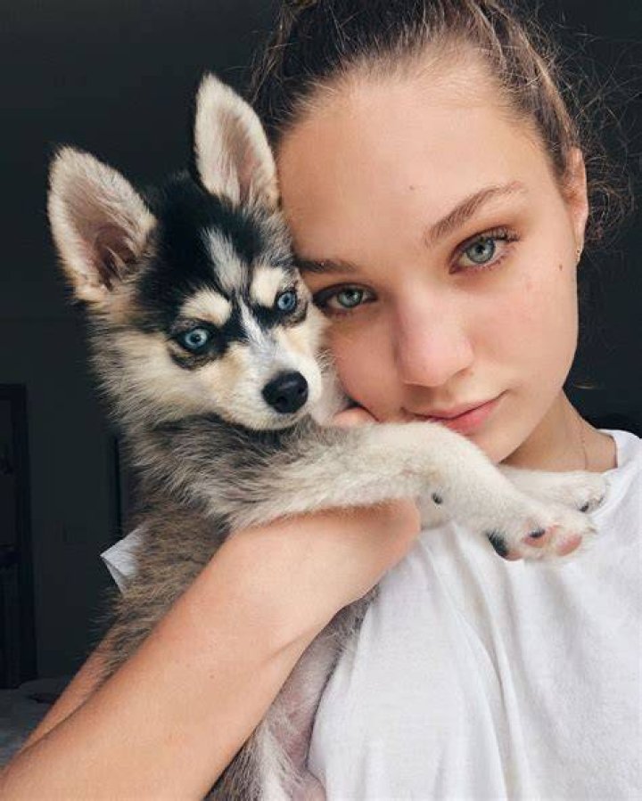 Maddie Ziegler Pets