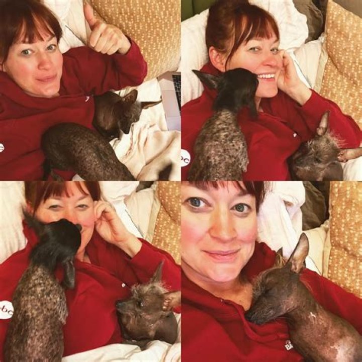 Mamrie Hart Pets