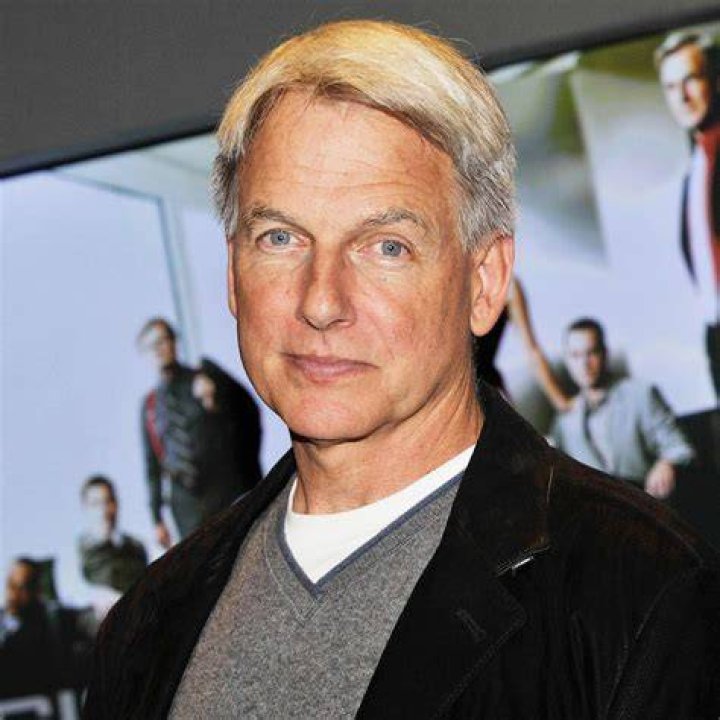 Mark Harmon Bio (Wiki) 