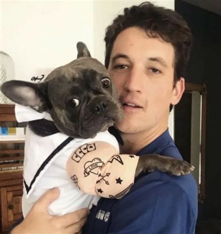 Miles Teller Pets