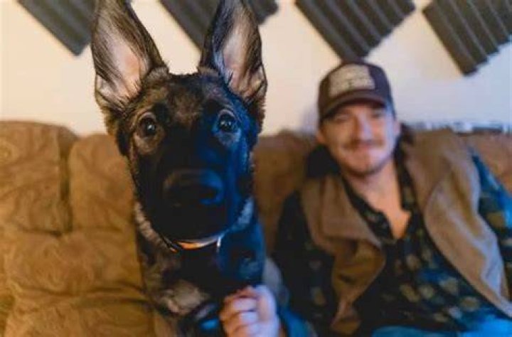 Morgan Wallen Pets