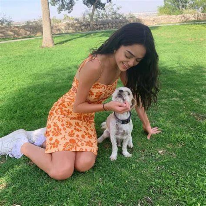Nailea Devora Pets
