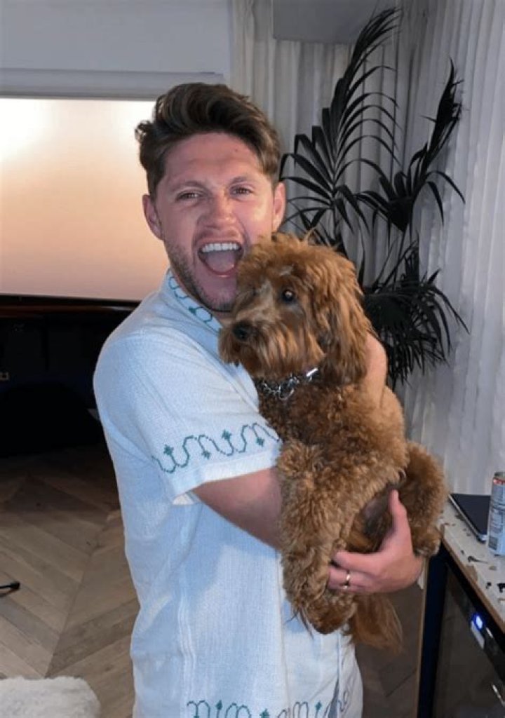 Niall Horan Pets