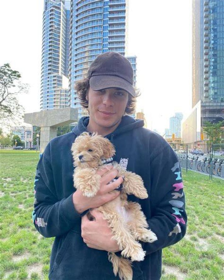 Pearce Joza Pets