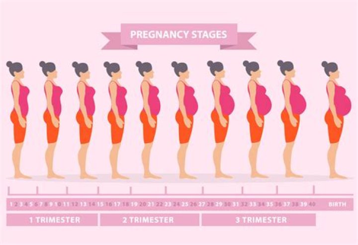 pregnancy