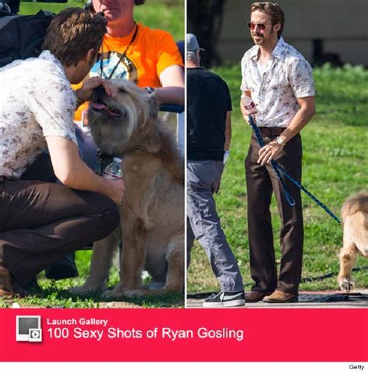 Ryan Gosling Pets