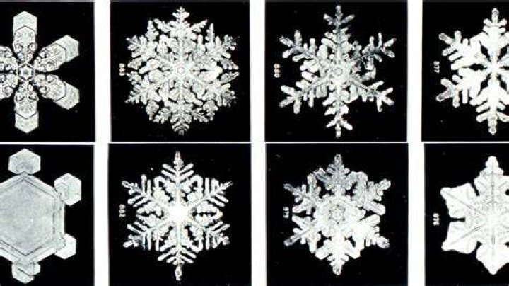 Snowflakes