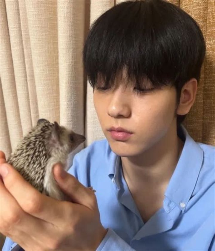 Soobin Pets