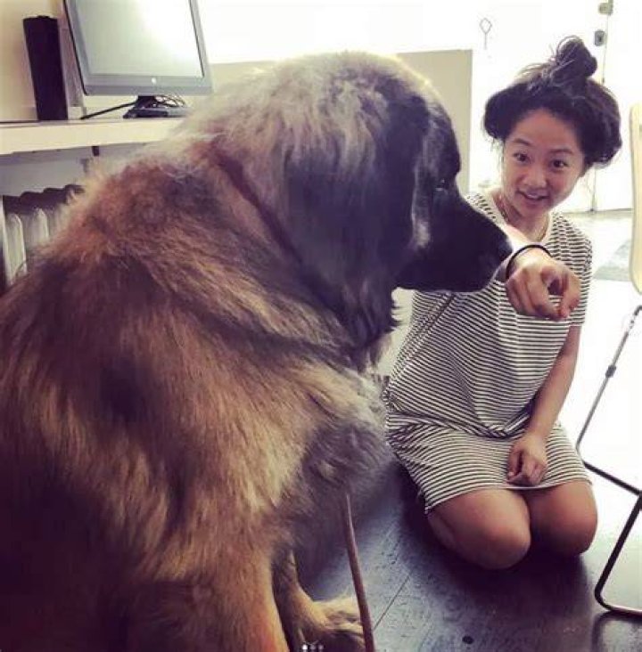 Stephanie Hsu Pets