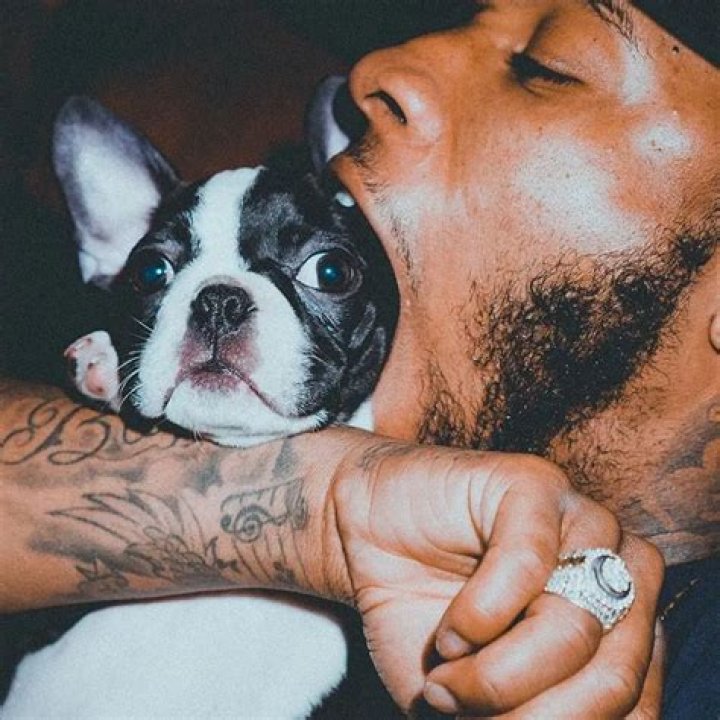 Tory Lanez Pets