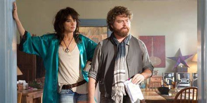 What is Due Date on Netflix about?