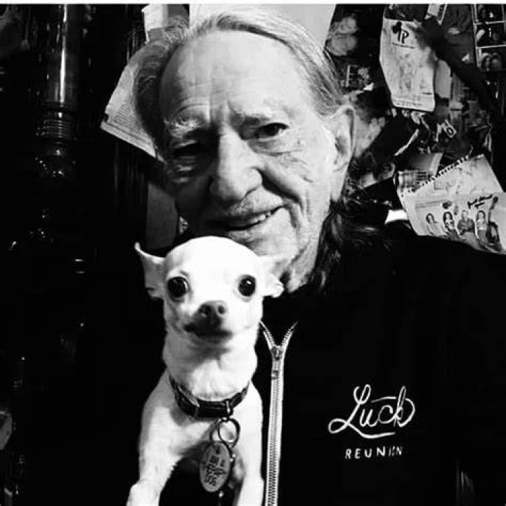Willie Nelson dog Mr Mister