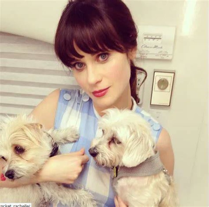 Zooey Deschanel Pets